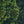 Load image into Gallery viewer, Wall quilt "Boreal"
