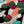 Load image into Gallery viewer, Quilting classes - Wall fabric design in raw appliqué