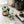 Load image into Gallery viewer, Cover pot x MAS Montreal collabo| Blue and rust