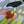 Load image into Gallery viewer, Courtepointe murale "Battures"
